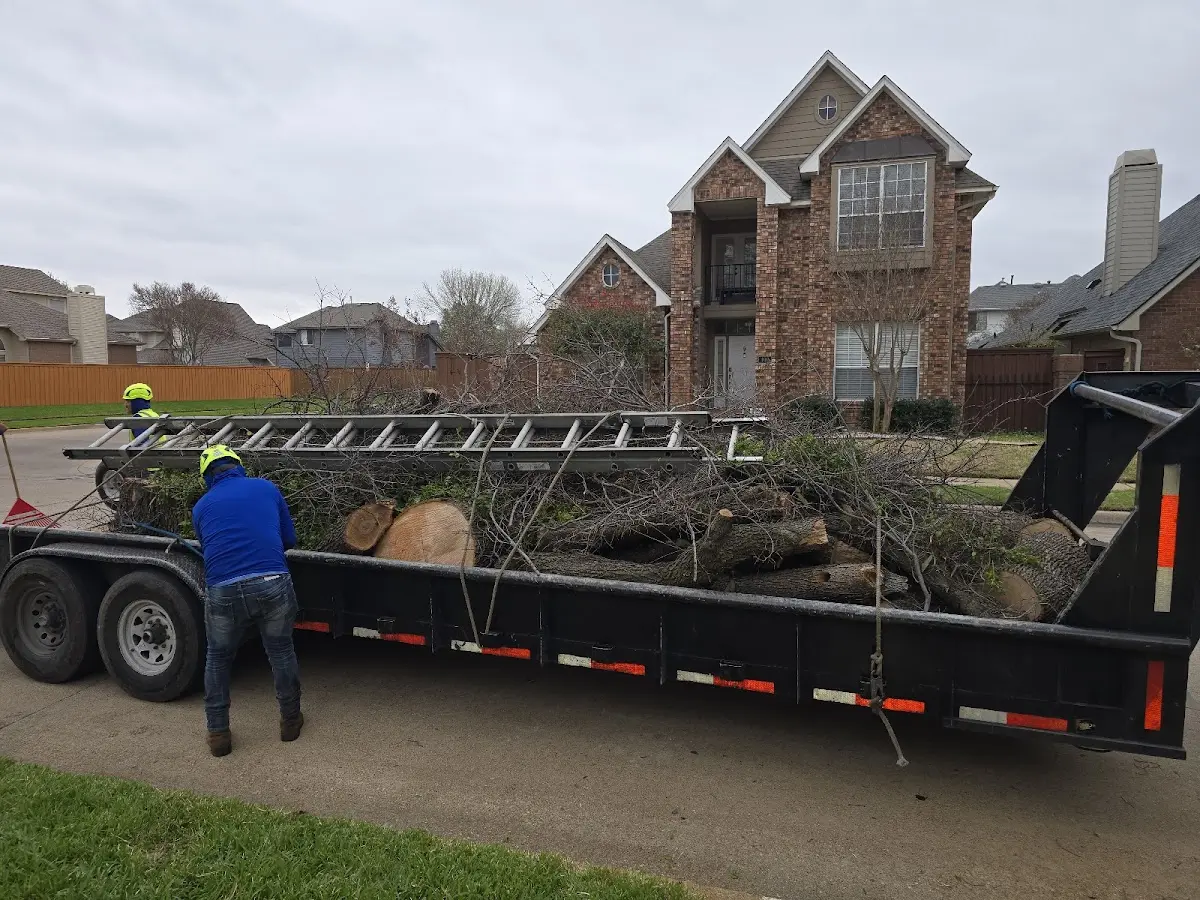 Expert Tree Removal with proper safety equipment in Granville